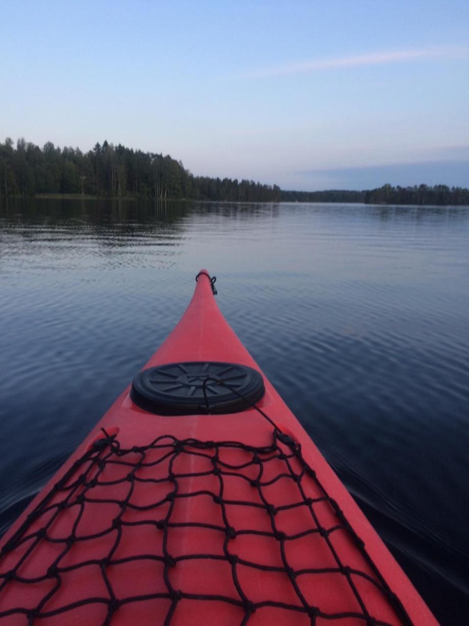 Linkkumylly Cottages Mäntyharju Dış mekan fotoğraf